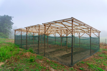 Fototapeta premium Vegetable farm with green protection net and plastic shades on wooden frame at misty morning, a primary students project in a rural village of Kota Marudu Sabah, Malaysia