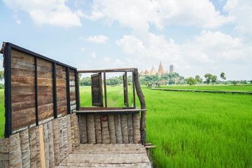 Fototapeta na wymiar wooden bridge along rice paddy field in Thailand