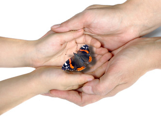 hands of mother and child and bright beautiful butterfly. mother's day card