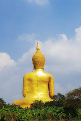 Obraz premium Buddha on the field.
