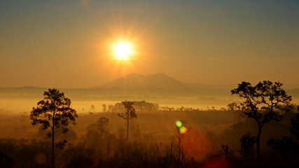 Summer Sunrise and Fog on Savanna Glassland.
