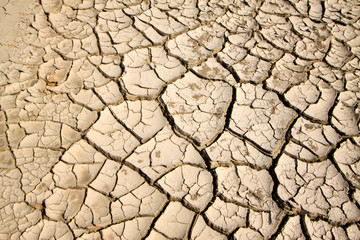 dry land