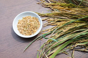 Organic Paddy Seeds, Unmilled Rice on wood background, healthy food.