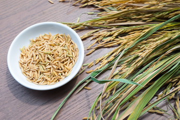 Organic Paddy Seeds, Unmilled Rice on wood background, healthy food.