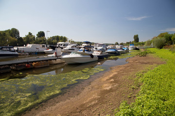 August 16 2018. Drought in Germany. Low water of the Rhine river near Oestrich-Winkel. Rheingau.Hesse. Germany.