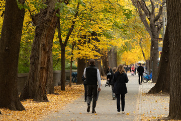 New York City autumn foliage people walking street