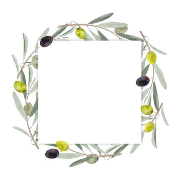 34 535 Best Olea Europaea Images Stock Photos Vectors Adobe Stock