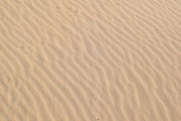 Fototapeta na wymiar Texture. River. Sand