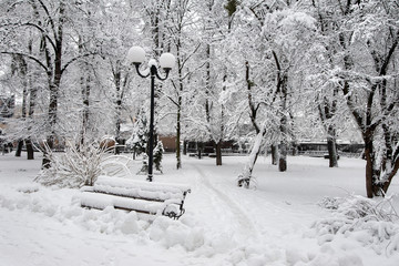 Winter landscape with trees and snow in city park. Trees are covered with snow after snowfall. The bench in the park  is covered with a snow