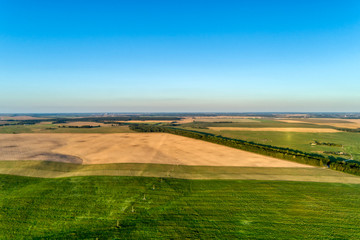 Rural flat landscape. Plowed and sown fields. Evening shooting.