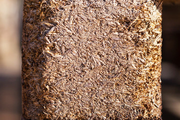 Background texture of yellow pressed wood chips