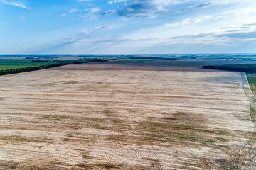 Rural flat landscape. Plowed and sown fields. Evening shooting.