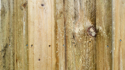 Close up of Timber Textures of cut wood