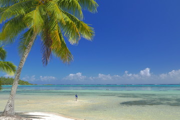 plage dans le lagon de Moorea