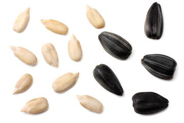 sunflower seeds isolated on white background. top view