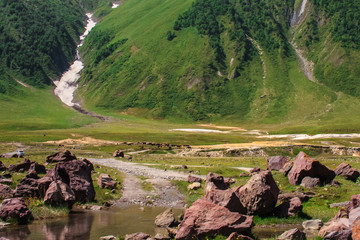 rose rockand road to green mountains