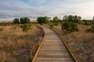 Obraz premium Wooden path in the tables of daimiel, Ciudad real