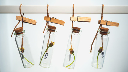 Four small transparent bottle with flowers inside and in each bottle there are numbers in 2019. Concept  happy new year.