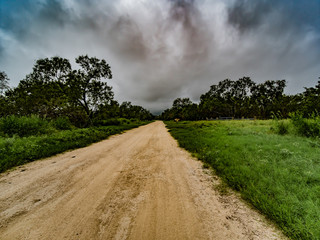 Fototapeta na wymiar Beautiful blue overcast, cloudy sky over lush green Texas hill country