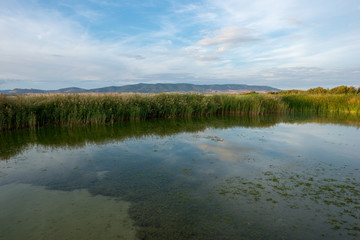 Sunset in a reservoir of daimiel tables