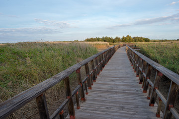 Obraz premium Wooden path in the tables of daimiel, Ciudad real