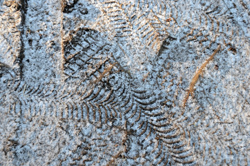 Many tyre tracks in various direction on frozen ground with a little powder snow.