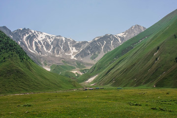 Fototapeta na wymiar stone peak with snow and green meadow