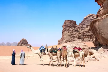 Photo sur Plexiglas Chameau Caravan of camels in Wadi Rum desert, Jordan