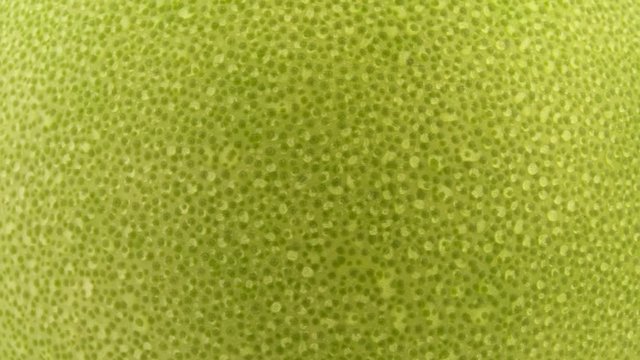 Shaddock pomelo fruit skin macro shooting. Rotating. Water drops. Close-up.
