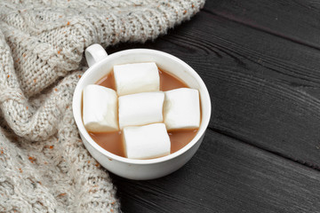 Hot chocolate with marshmallows on the table