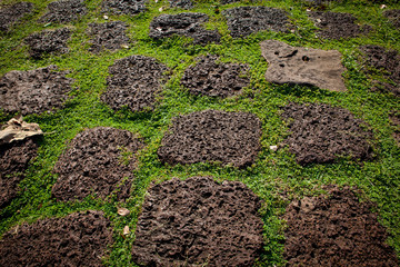 Natural stone paving with lush grass growing between