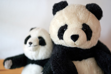 Portrait of panda bear stuffed animal