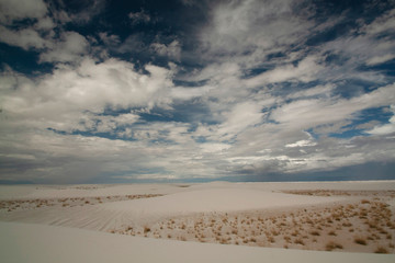 Fototapeta na wymiar White Sands, New mexico