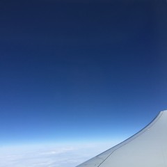 Sky is no limit. Against gravity. © Anna