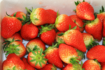 strawberries in the box