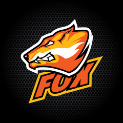 Fox Head from side. Can be used for club or team logo. Vector graphic.