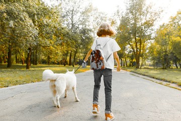 Girl child walking with a white dog Husky on the road in the park, back view