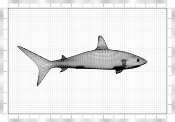 Shark Architect Blueprint 