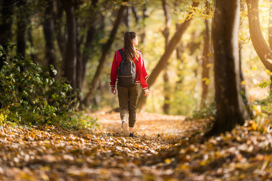 Beautiful girl walking trough forest in autumn season