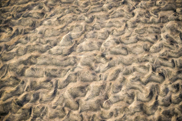 Fototapeta na wymiar Wave pattern sand with multi-colored shallow ripples in a full-frame textured natural background