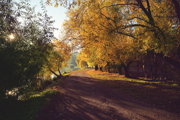 Obraz premium Beautiful autumn park. Autumn in Minsk. Autumn trees and leaves. Autumn Landscape.Park in Autumn.