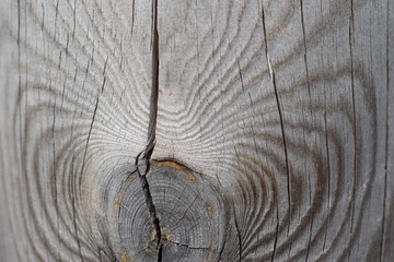 the surface of the sawn wood cracked, background, texture.