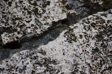 the surface of the stone overgrown with green moss