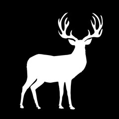 White silhouette of reindeer with big horns on black background