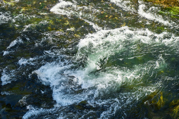 a river in the nature