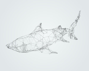 Abstract wireframed silhouette of a shark. Vector illustration.