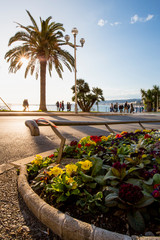Nice promenade des Anglais