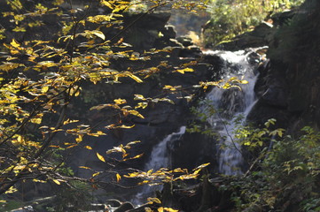 Source Vistula. Crystalline stream, clean water and waterfall