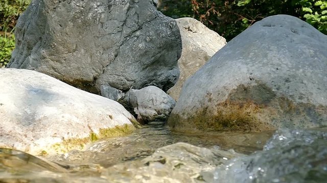 small stream in the mountains
