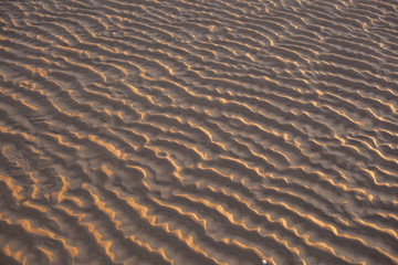 Ripples in the sand